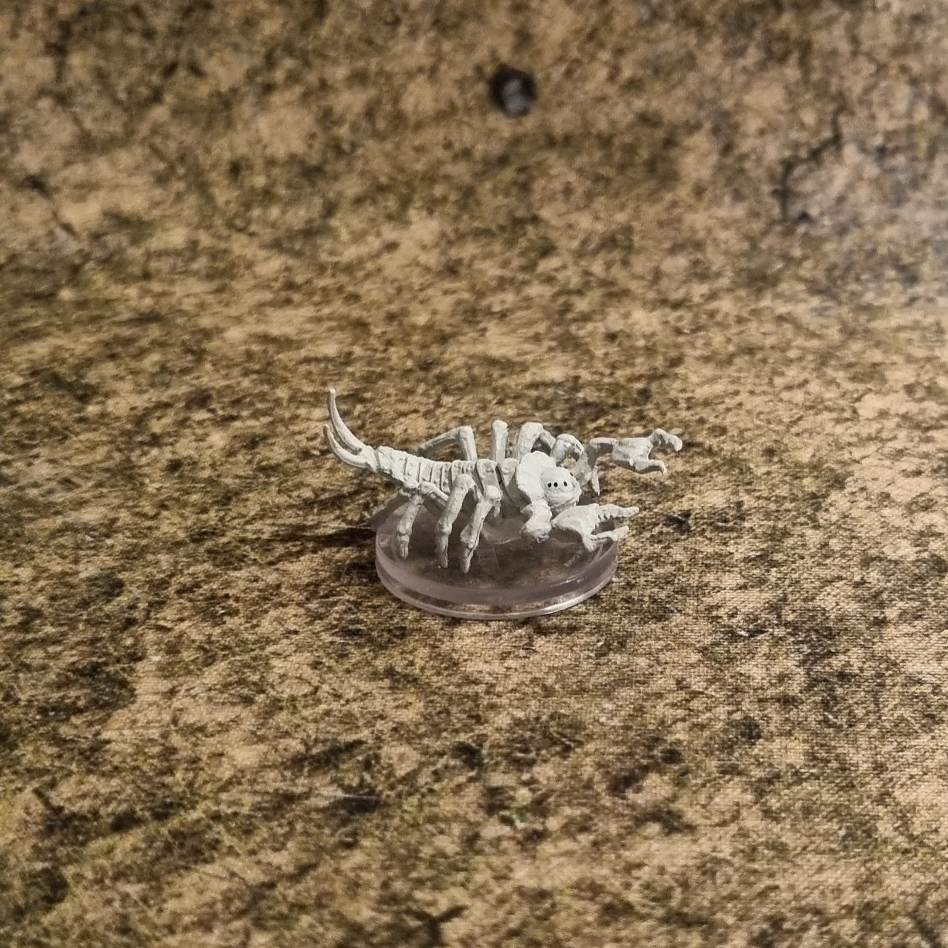 Dungeons & Dragons - Cave fisher 10/44