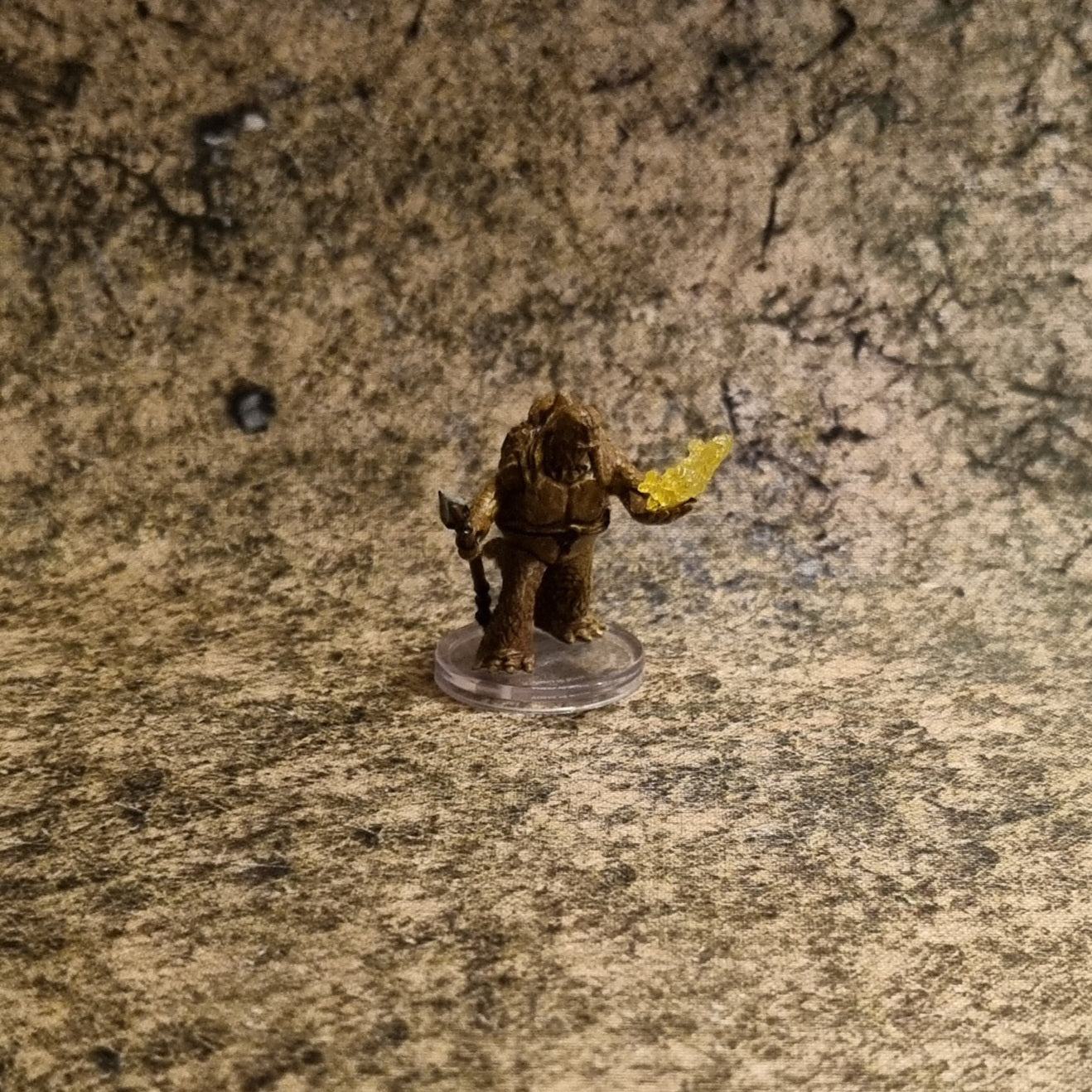 Dungeons & Dragons - Tortle druid 16/44