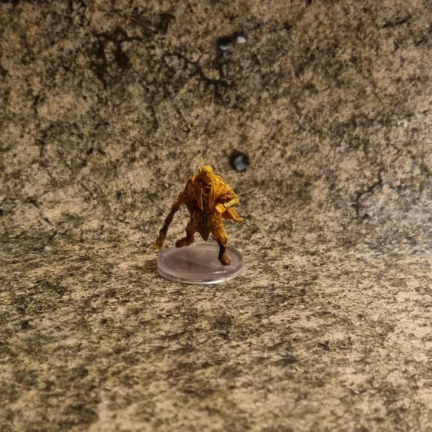 Dungeons & Dragons - Summer Eladrin 37/44