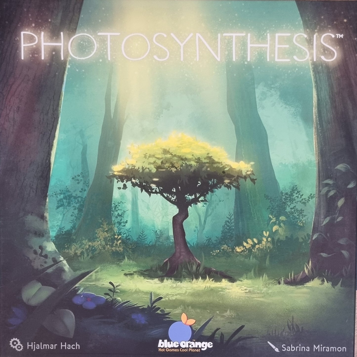 Photosynthesis