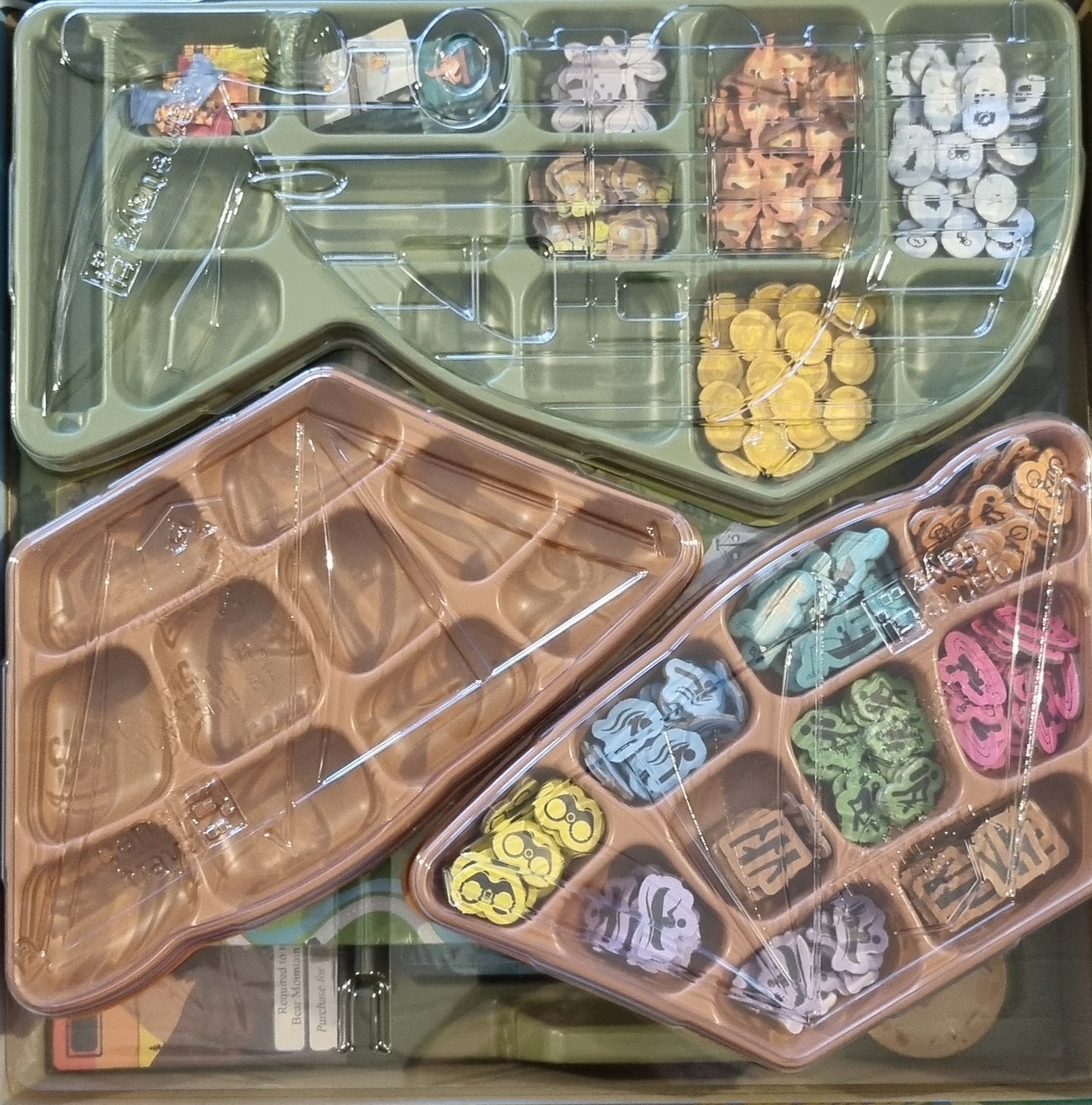 Bear Mountain Camping Adventure